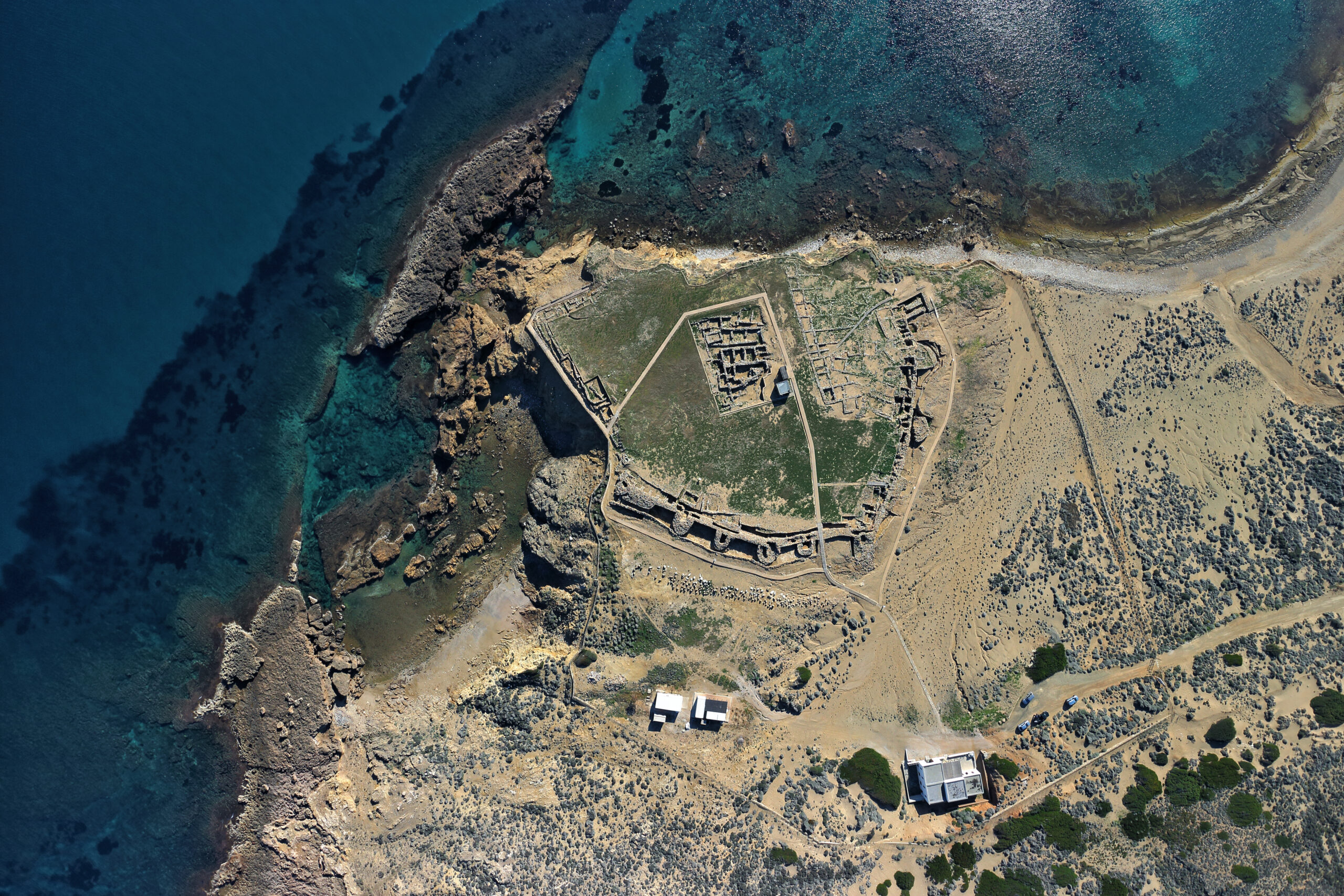 Παλαμάρι Σκύρου