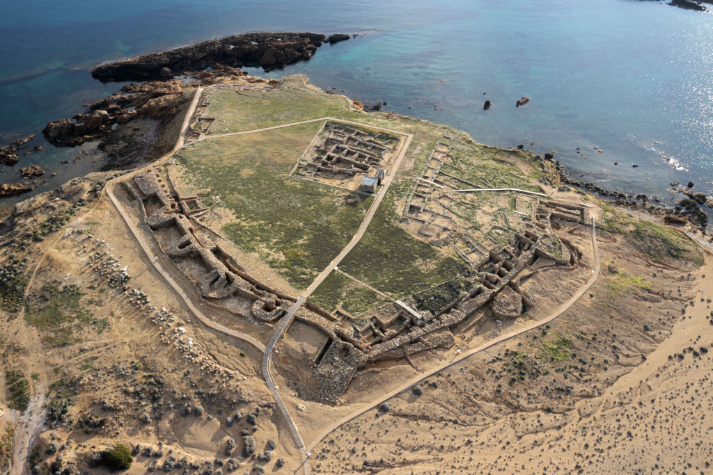 Παλαμάρι Σκύρου