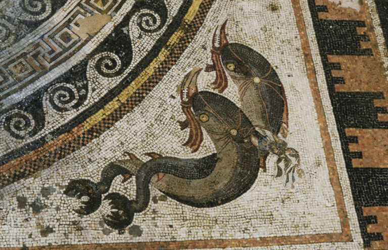 Λεπτομέρεια ψηφιδωτού δαπέδου από την Οικία των Δελφίνων