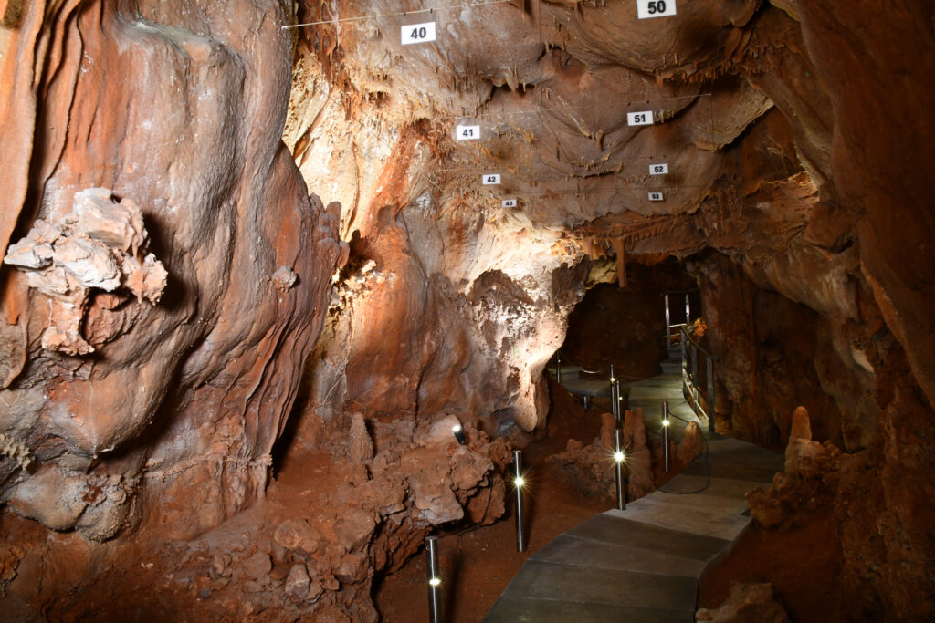 Σπήλαιο και Μουσείο Πετραλώνων