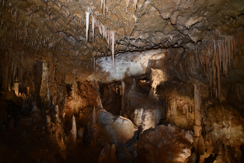 Σπήλαιο και Μουσείο Πετραλώνων